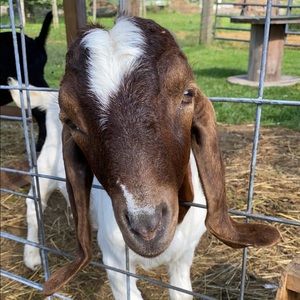 Meet your Posher, Andrew